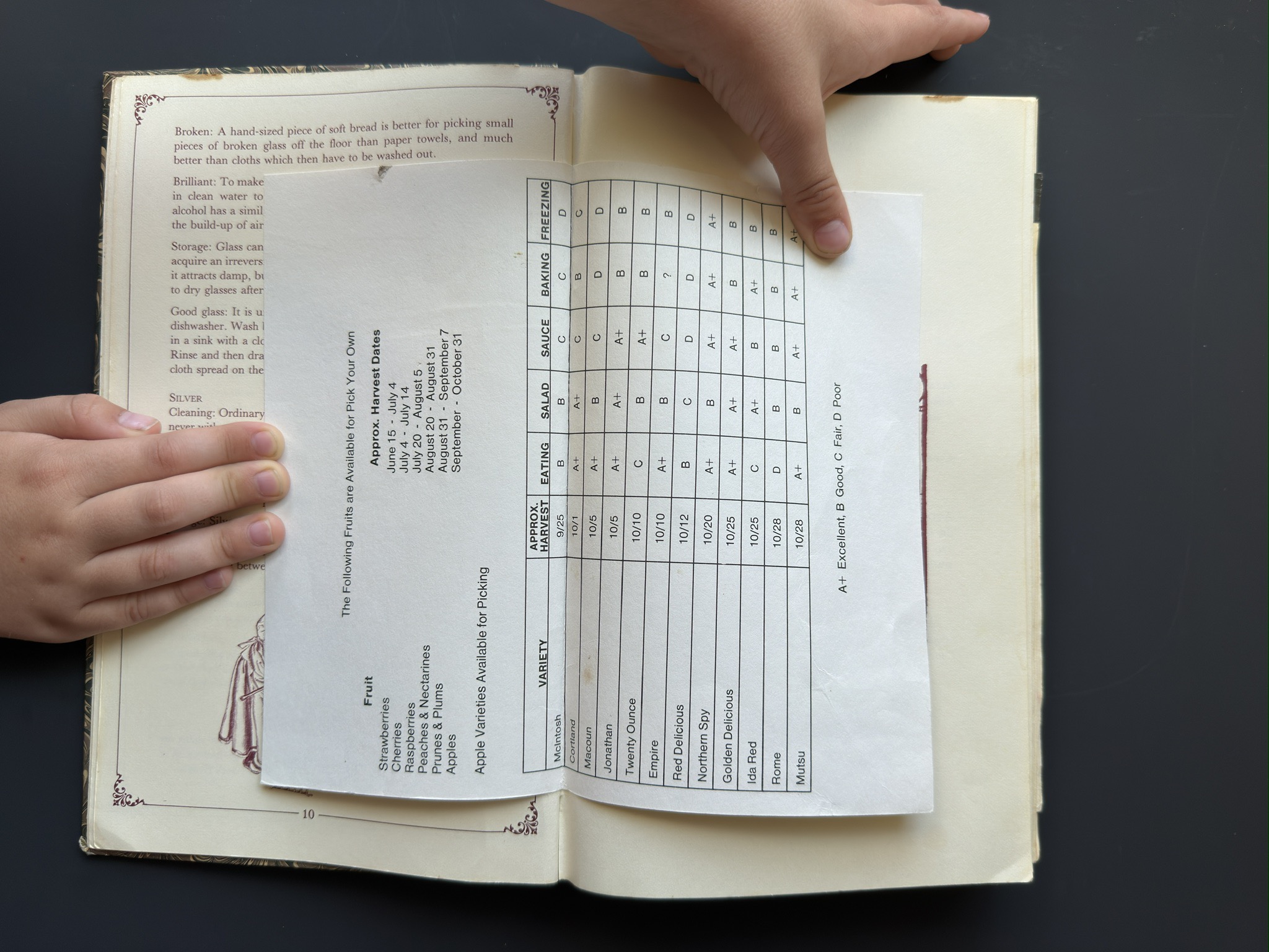 The orchard sheet, unfolded — apple varieties graded for eating, sauce, and baking